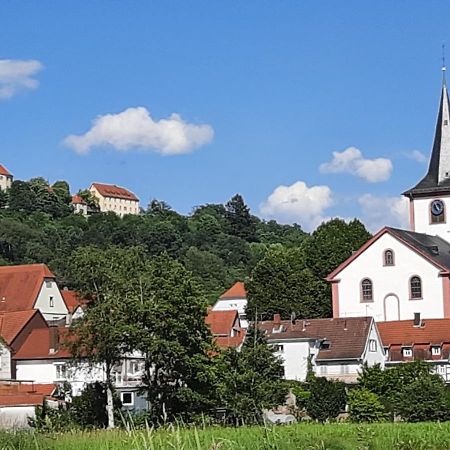 Ferienwohnung Odenwaldflair Reichelsheim エクステリア 写真