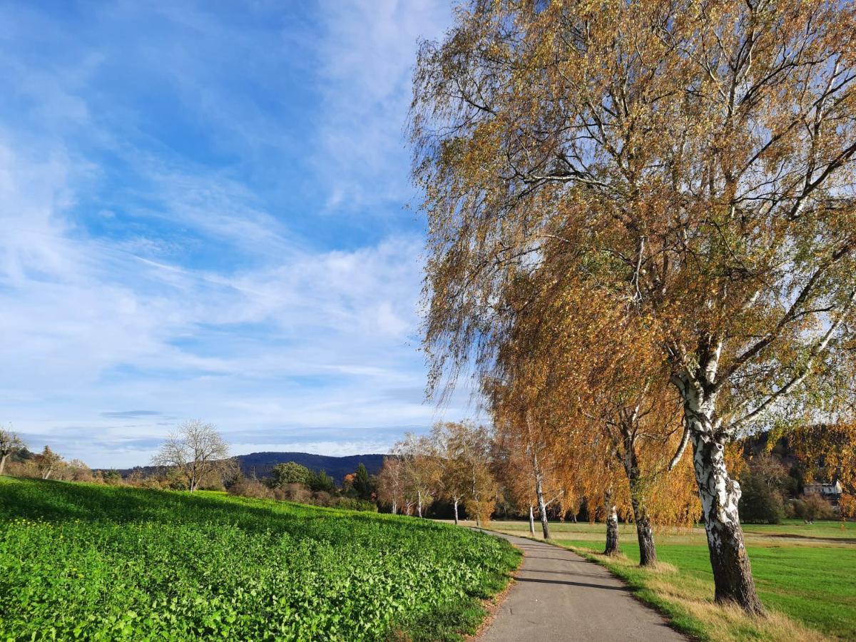 Ferienwohnung Odenwaldflair Reichelsheim エクステリア 写真