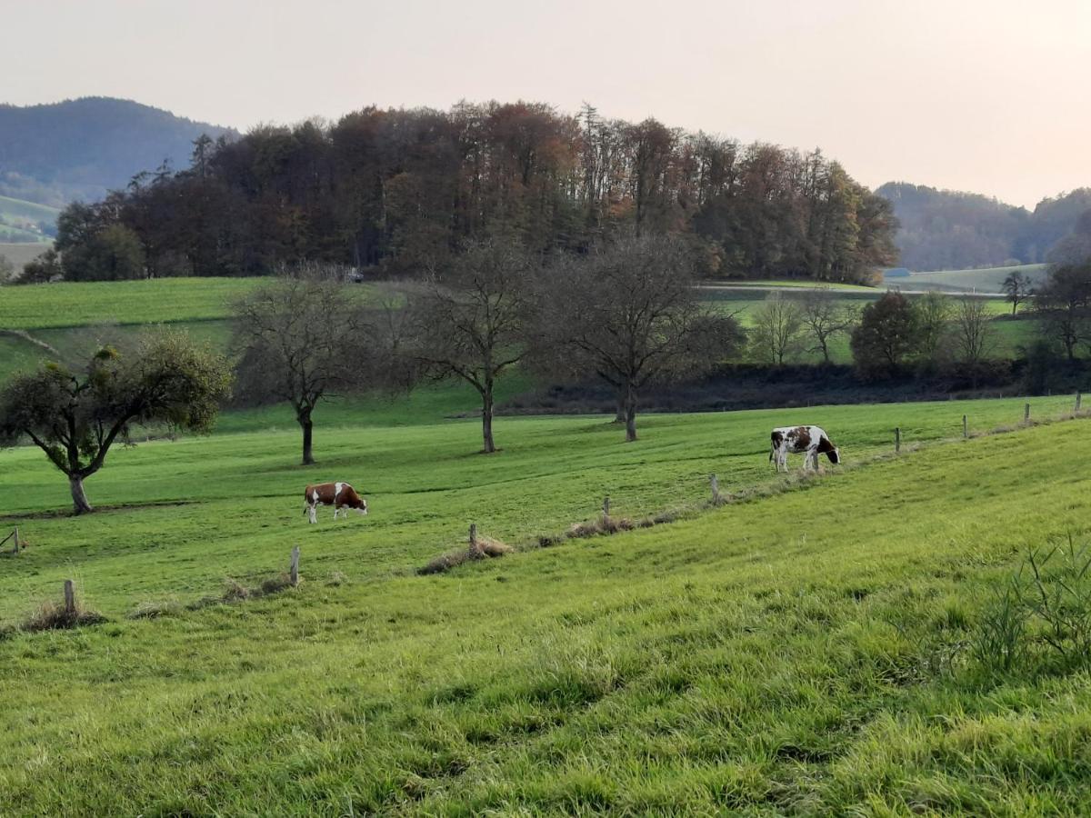 Ferienwohnung Odenwaldflair Reichelsheim エクステリア 写真