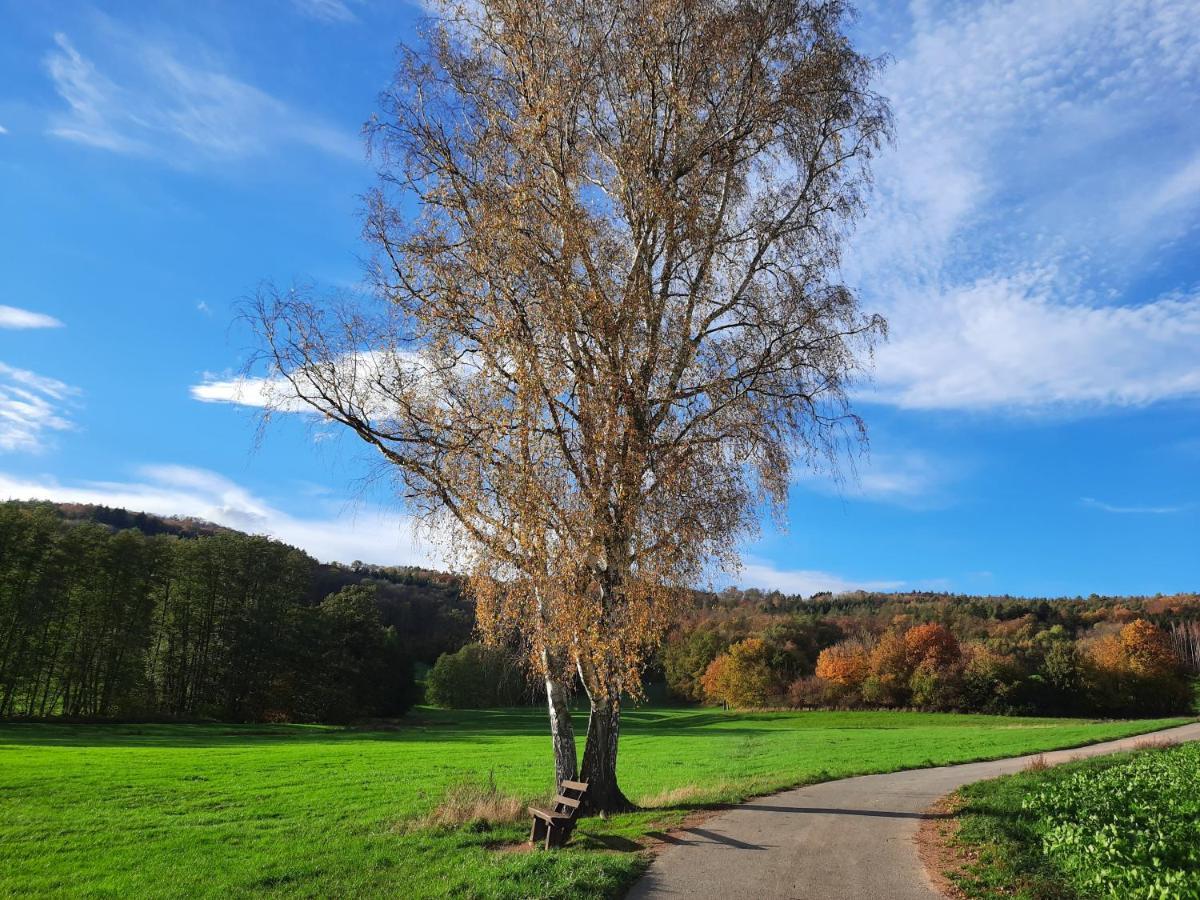 Ferienwohnung Odenwaldflair Reichelsheim エクステリア 写真
